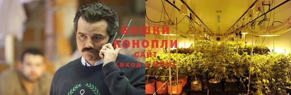 прущая мука Наволоки