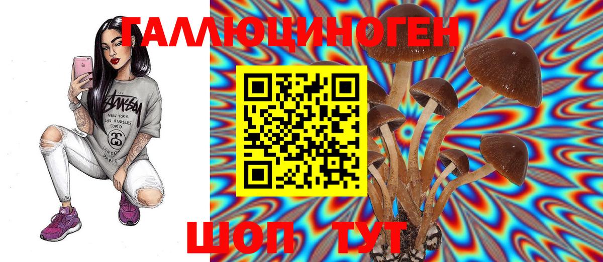 Галлюциногенные грибы мицелий  Псилоцибиновые грибы прущие грибы  Иваново 