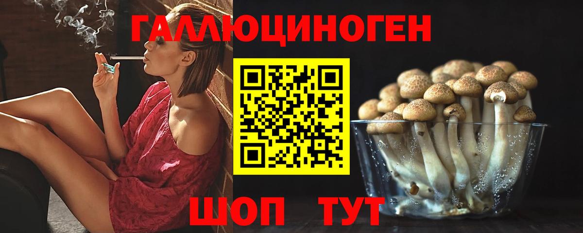 наркота  Псилоцибиновые грибы Cubensis  Вход с VPN  Иваново  Псилоцибиновые грибы Psilocybe 